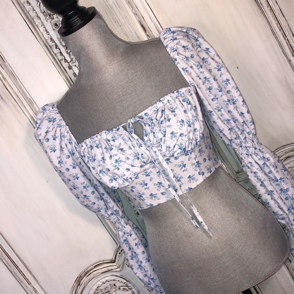 8 Birdies CottageCore Victorian Edwardian Feminine Prairie Cowgirl Corset Top - Picture 2 of 11